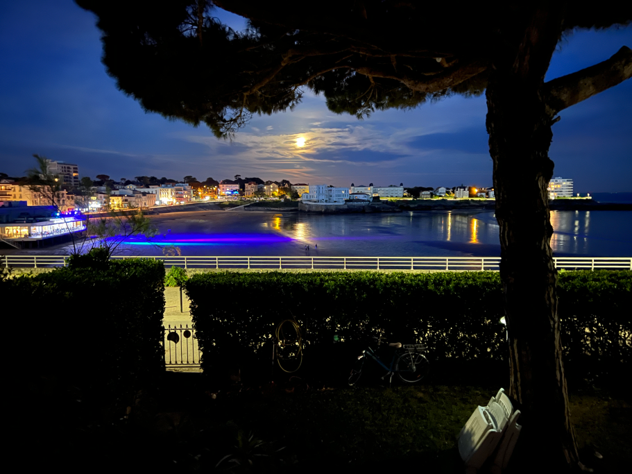 jardin la nuit